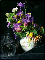 www.floristic.ru - .  