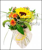 www.floristic.ru - .  