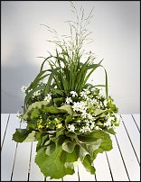 www.floristic.ru - .  