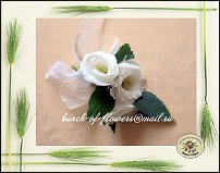 www.floristic.ru - .  .