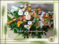 www.floristic.ru - .  .