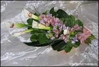 www.floristic.ru - Флористика. Вопросы по свадебной флористике