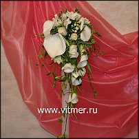 www.floristic.ru - .    