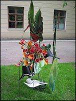 www.floristic.ru - . " "    