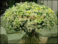 www.floristic.ru - .  