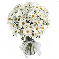 www.floristic.ru - .  