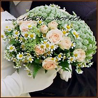 www.floristic.ru - .  