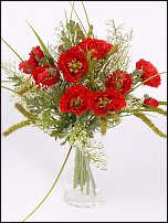 www.floristic.ru - .  