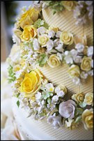 www.floristic.ru - .    !