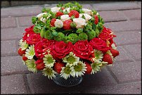 www.floristic.ru - .    !