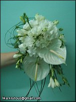 www.floristic.ru - .  .