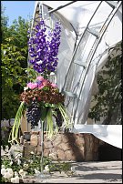 www.floristic.ru - .   .