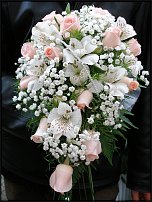 www.floristic.ru - .  .