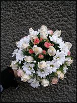 www.floristic.ru - .  .