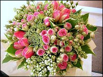 www.floristic.ru - . !!!!!