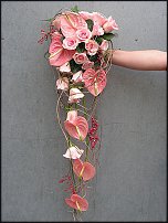 www.floristic.ru - .  .