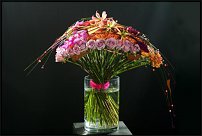 www.floristic.ru - .  .