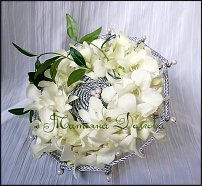 www.floristic.ru - .  .