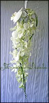 www.floristic.ru - .  .