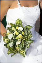 www.floristic.ru - .  .