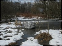 www.floristic.ru - . Land Art