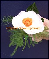 www.floristic.ru - .  .