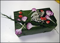 www.floristic.ru - .  .