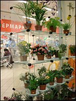 www.floristic.ru - .       - ?