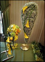 www.floristic.ru - .  .