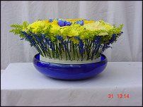 www.floristic.ru - .  .