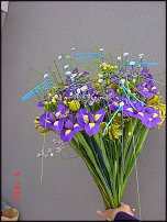 www.floristic.ru - .  .