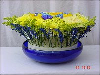 www.floristic.ru - .  .