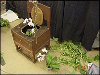 www.floristic.ru - .  .