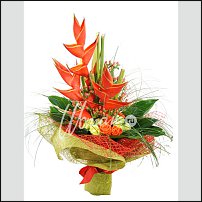 www.floristic.ru - .   1 