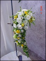 www.floristic.ru - .  .