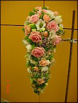 www.floristic.ru - .  .