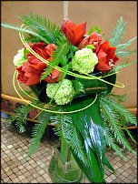 www.floristic.ru - .  .