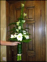 www.floristic.ru - .  .