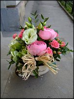 www.floristic.ru - .  .