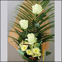 www.floristic.ru - .   1 