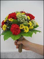 www.floristic.ru - .  