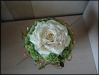 www.floristic.ru - .  .