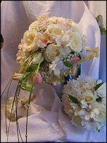 www.floristic.ru - .  .