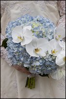 www.floristic.ru - .  .