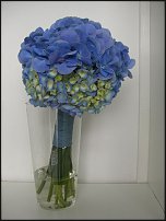 www.floristic.ru - .  .