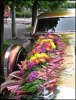 www.floristic.ru - .  .