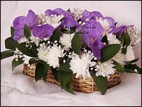 www.floristic.ru - .  .