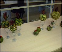 www.floristic.ru - .  . ..20-24.07.2009