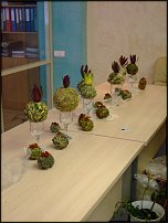 www.floristic.ru - .  . ..20-24.07.2009