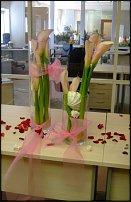 www.floristic.ru - .  . ..20-24.07.2009